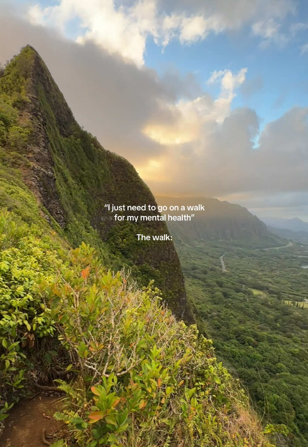 The best therapy 😌🌿 #hawaii #oahu #hike #hiketok #trend 