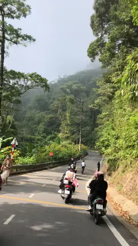 Lại đến mùa hoa rồi 😘