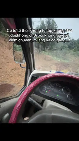 Im lặng và cố gắng🥰❤️#xetai #xuhuongtiktok 