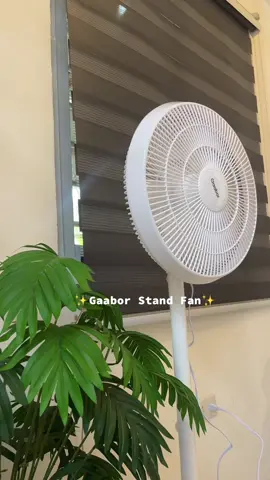 Aesthetic stand fan and adjustable height🥰 #gaabor #adjustableheight #aesthetic 