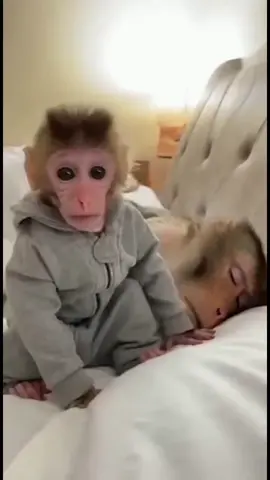 Kid loves to prank his mom #prank #funny #mom #fyp