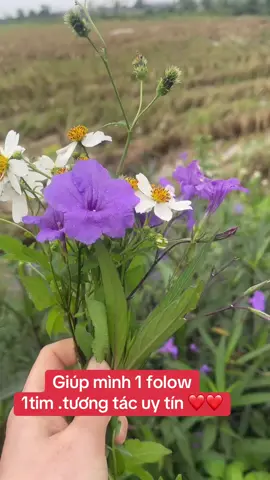 thợ cấy tập xây kênh 😊mọi người giúp mình 1 folow 1tim ❤️yêu mọi người ❤️#tapxaykenh #tapxaykenhtiktok #time #folower 