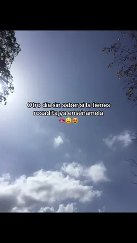 🫦😩😻#paratiiiiiiiiiiiiiiiiiiiiiiiiiiiiiii #fyppppppppppppppppppppppp #indirecta #myketowers #paradedicar 