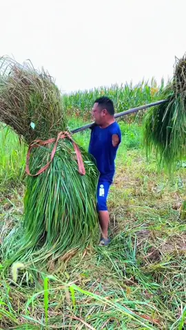 Ai cũng miệt thị con rằng tiền kiếp trước là gì ,hôm nay con phải mang hình như hiện tại con phải cố gắng sống thật tốt