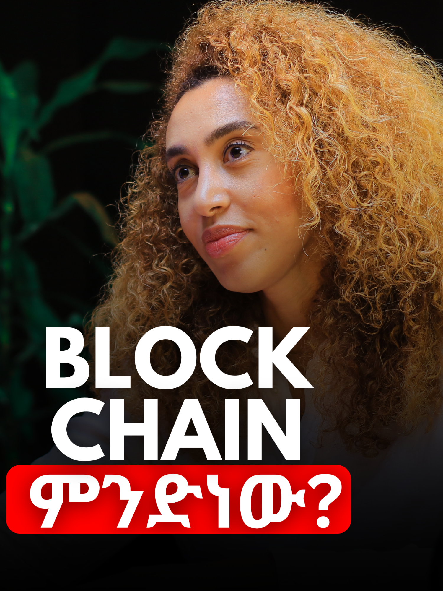 Blockchain ምንድነው? Kanessa Muluneh @abrshpodcast @kanessamuluneh #AlivePodcast #ethiopianpodcast #investment #KanessaMuluneh #Leadership #Inspiration #fypviralシ #viralchallenge #africapodcast #ethiopianpodcast #blockchain