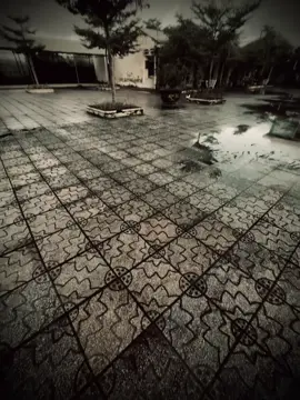 每个故事都给我们一个教训，每个教训都改变一个人.！ 