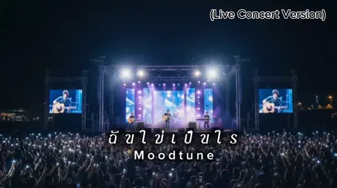 #เพลงเพราะ #เพลงลงสตอรี่ #เพลงแต่งเอง #CapCut 