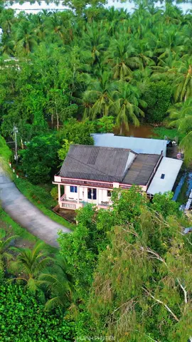 Dậy đi em đừng ngủ dây dưa... bài hát Chồng Xa, Sáng tác: Võ Thiện Thanh, Trình bày: Thái Chi, Phong cảnh quê hương bình yên nhẹ nhàng miền tây #huynhphutien #mientay #fyp #chongxa #thaichi 