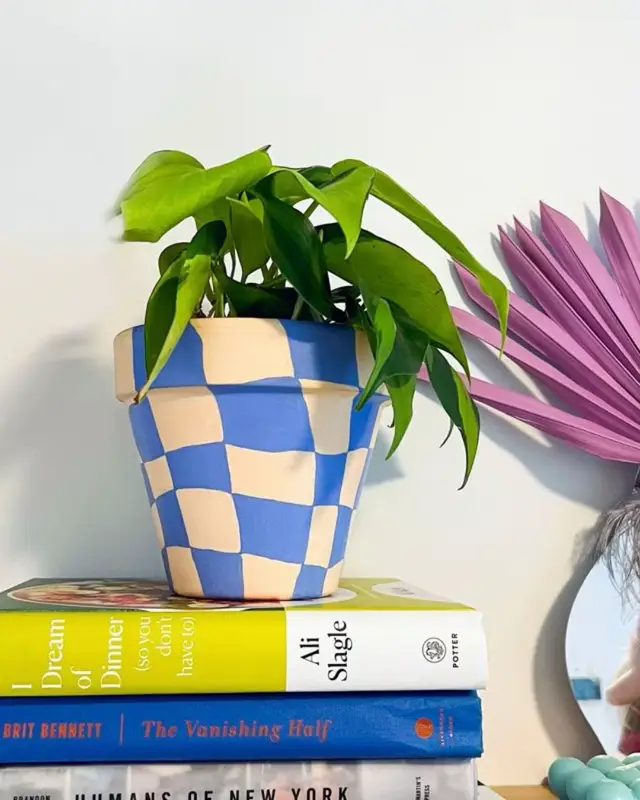 houseplant pots i fw ⭐️🪴🌱