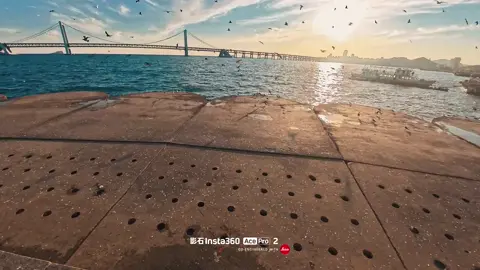 Tôi sẽ trân trọng bạn hơn trước kia. #Insta360AcePro2  #Insta #bờ_biển #xuhuongtiktok #douyin 