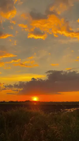 Kata kata dulu sodara ⚡️🥹🥹🥹#promomakanharian #promomakangajian #fyppppppppppppppppppppppp #fypシ゚viral #viral_video_tiktok #bugiswajosengkang #promomakanmerdeka 