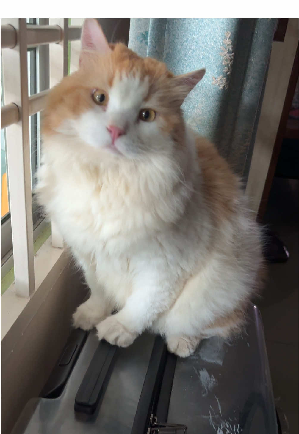 “Nak keluar nak buat kerja bancuh simen mommy”