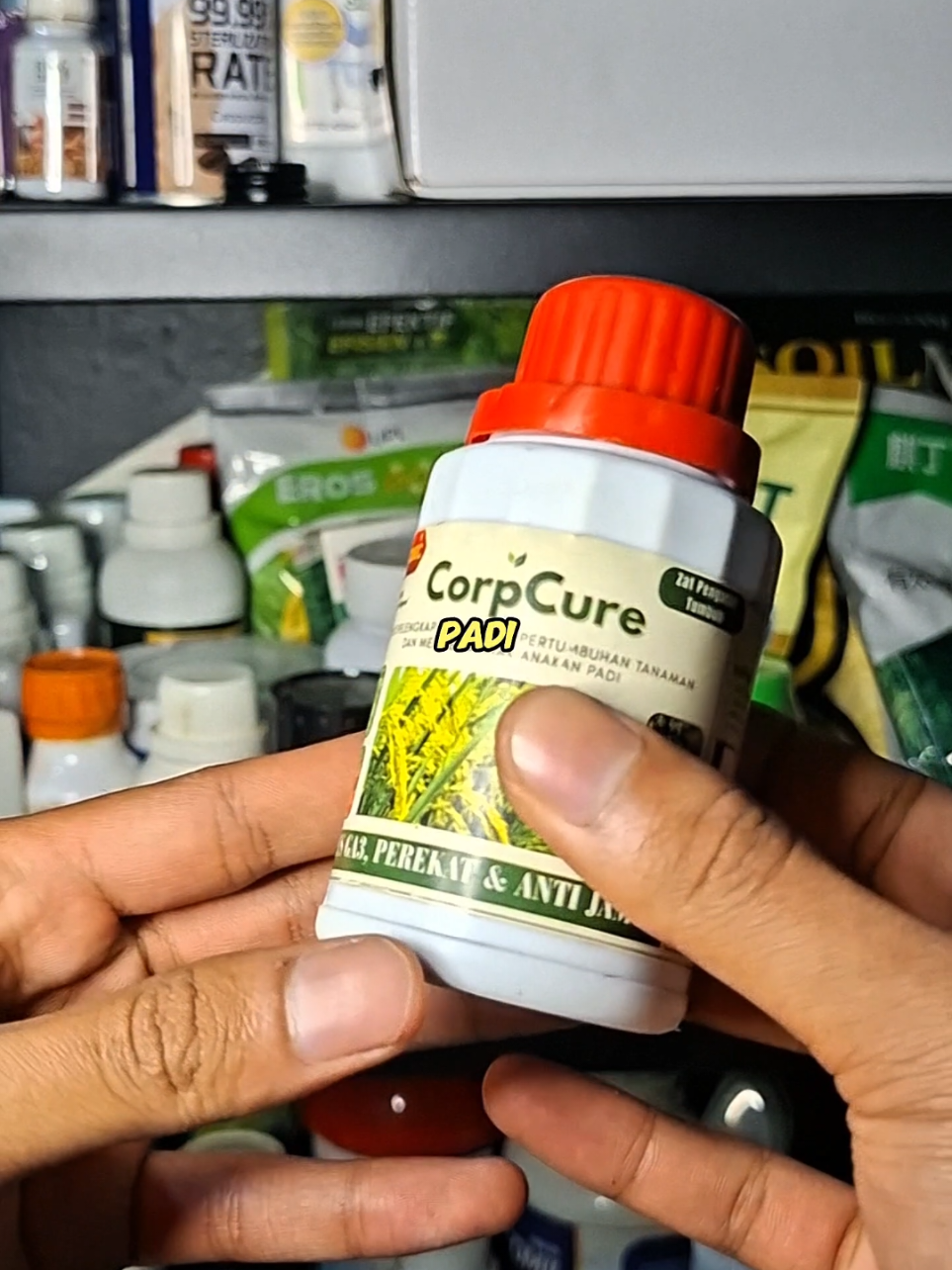 Buruan di order sebelum kehbaisan sama tetanggamu#pupukcorpcure #corpcure #boosterpadi #creatorsearchinsight #asamamino 