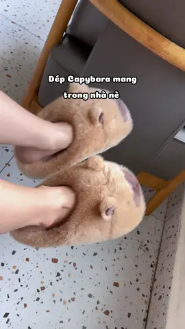 Mùa lạnh tới rồi mấy bà sắm dép bông chưa,  #depditrongnha #depxinh #depbong #capybara 