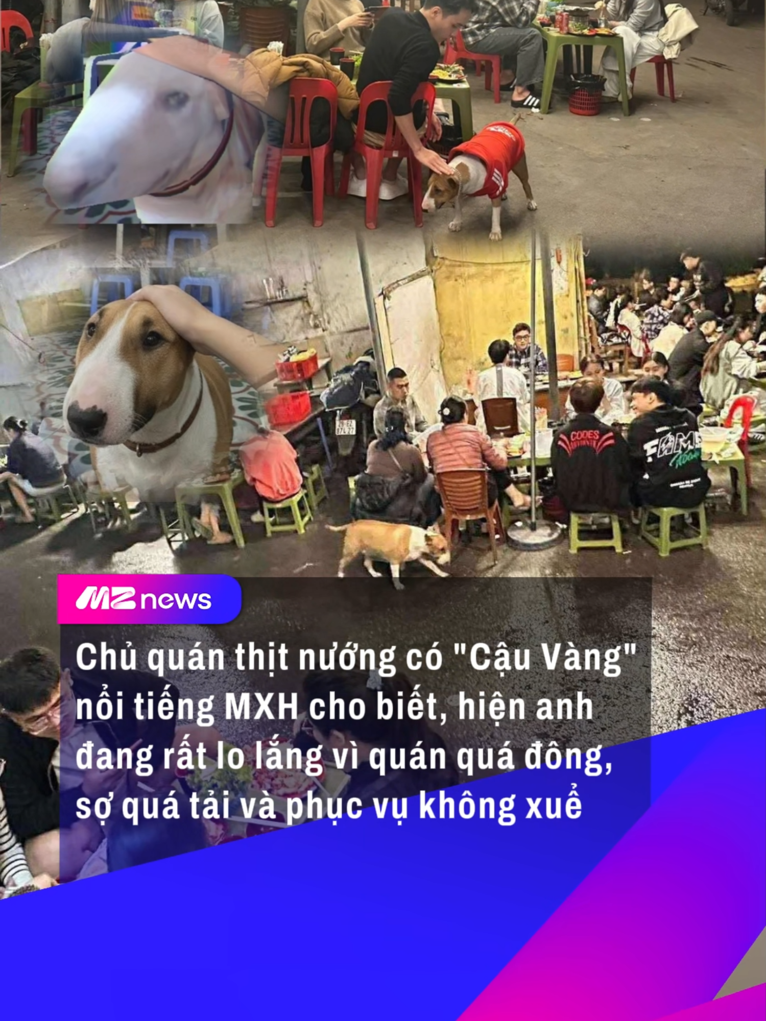 Có thể là giống bản gốc đến 99% đó #mznews #mznetwork #tiktok #tintuc #news #tiktokgiaitri