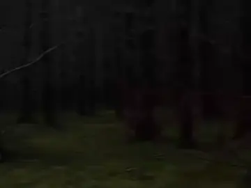 ❤️‍🔥 . . . . . . . . . . . . . . . . . . . #crystalcastles #legenda  #musica #fyp #edits 