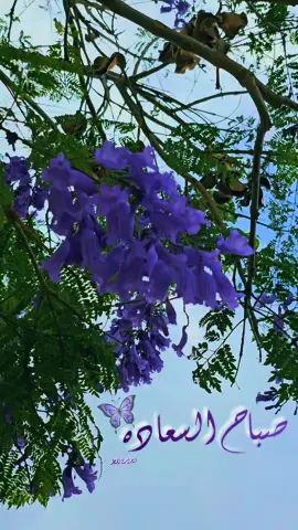 #اللهم_اسعدنا_سعاده_الدارين_يارب #صباح_الخير #صباح_السعاده #اكسبلور #ترند 