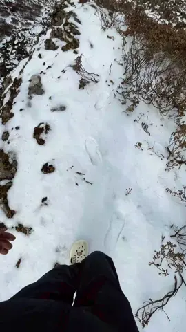 🌿🕊😂#naturelover #pachpokhari #fyp #yatri 