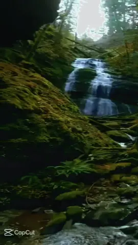 #LIVEStory 🫶🤲 الحمد لله دائما وأبدا🫶🤲