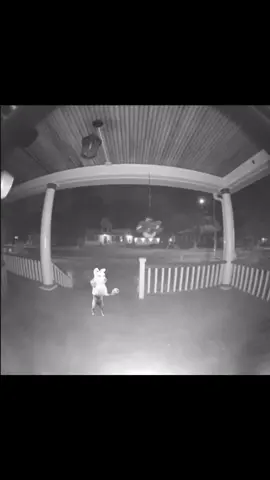 That is not a dog…#fortnite #fyp #xyzbca #viral #ifyouseeadogdoingthemacarenat3amrun 