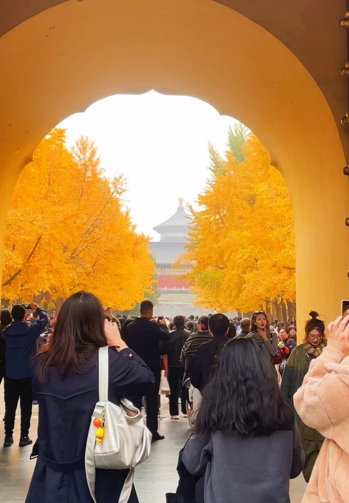 Đẹp quá mùa thu ơiiiii 🍂🍂🍂 #linlingtravel #dulichtrungquoc #tourtrungquoc #xuhuong #trungquoc #backinh #thuonghai #xh #muathu 