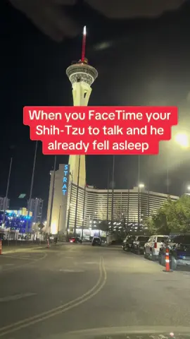 Awww, I love my Bandit 😍