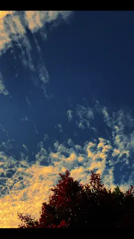 Satu pesan’mu hari ini >>