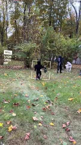 Trick or treat Luna! #greatpyrenees #rescuedog #dogadoption 