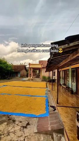 #madiun #fyppppppppppppppppppppppp #info 