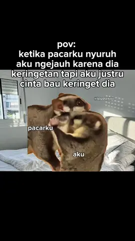 baunya khas dan bikin nyaman🥰 #meme #memekucing #kiyotakiiii #fyp #kucinglucu 