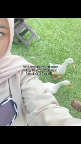 #november #fypage #hbd #berandatiktok 