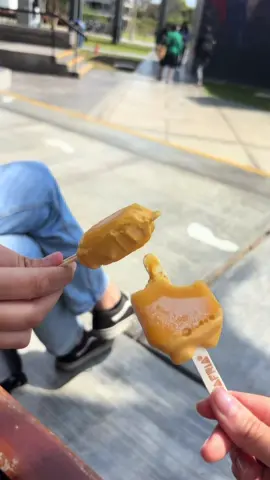 vlog de la primera vez que una paloma me caga encima 🥳🤩🥳🤩🥳 #rriipucp #pucp #paratii #limaperu #tercioeeggll 