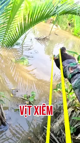 Tệ quá tệ😂#thoaibap71 #nacaosu 