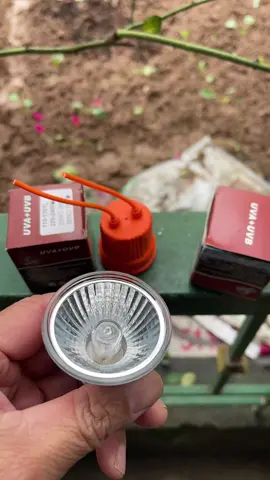 #đen tia nắng nhân tạo UVA và UVB cho thu cung công xuất 25 50 75w