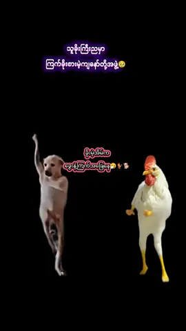 #အဲ့လိုပါဆို😁😁😂😂😂#သူခိုးကြီးည  #ကြက်ခိုးမဲ့သူတွေရှိလား😁 #fyppppppppppppppppppppppp #viral 