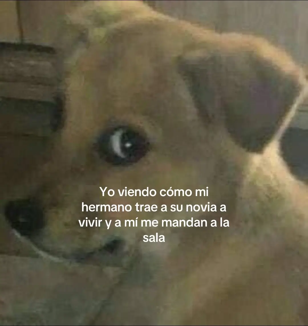 #hermano #paratiiiiiiiiiiiiiiiiiiiiiiiiiiiiiii #noflop #fyp #paratiiiiiiiiiiiiiiiiiiiiiiiiiiiiiii 