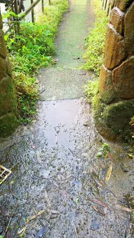 Ma mị nhưng không kém phần hùng vĩ 🍃 #nature #healing #thacdakGlung #thac72 #tuyduc #daknong 🌿🍃🌲🏕️