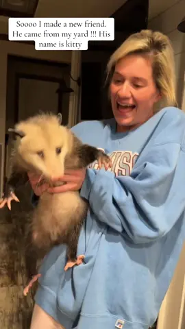 My kitty#possum #wildlife #mypet #viral #vira 