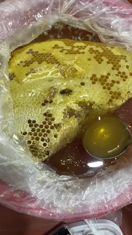 mật ông khoái mùa cuối của năm#mậtong #matongkhoairungtaybac 