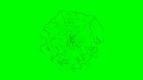 #greenscreenvideo #vfx #vfxeffect #greenscreen #foryou 