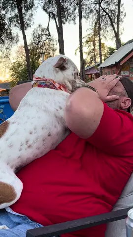 #dogsoftiktok #hug #doglover  #redheeler #furbaby 