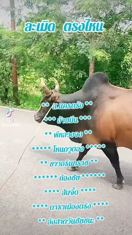 #เทรนด์วันนี้ #โหนดงามพลังสิงห์เจ้าปัญญา #ทายาทไอทิว #เด็กใต้ป้ายคลองหอยโข่ง🍃 #ไม่ใช้การทารุณกรรมสัตว์❤🐔 