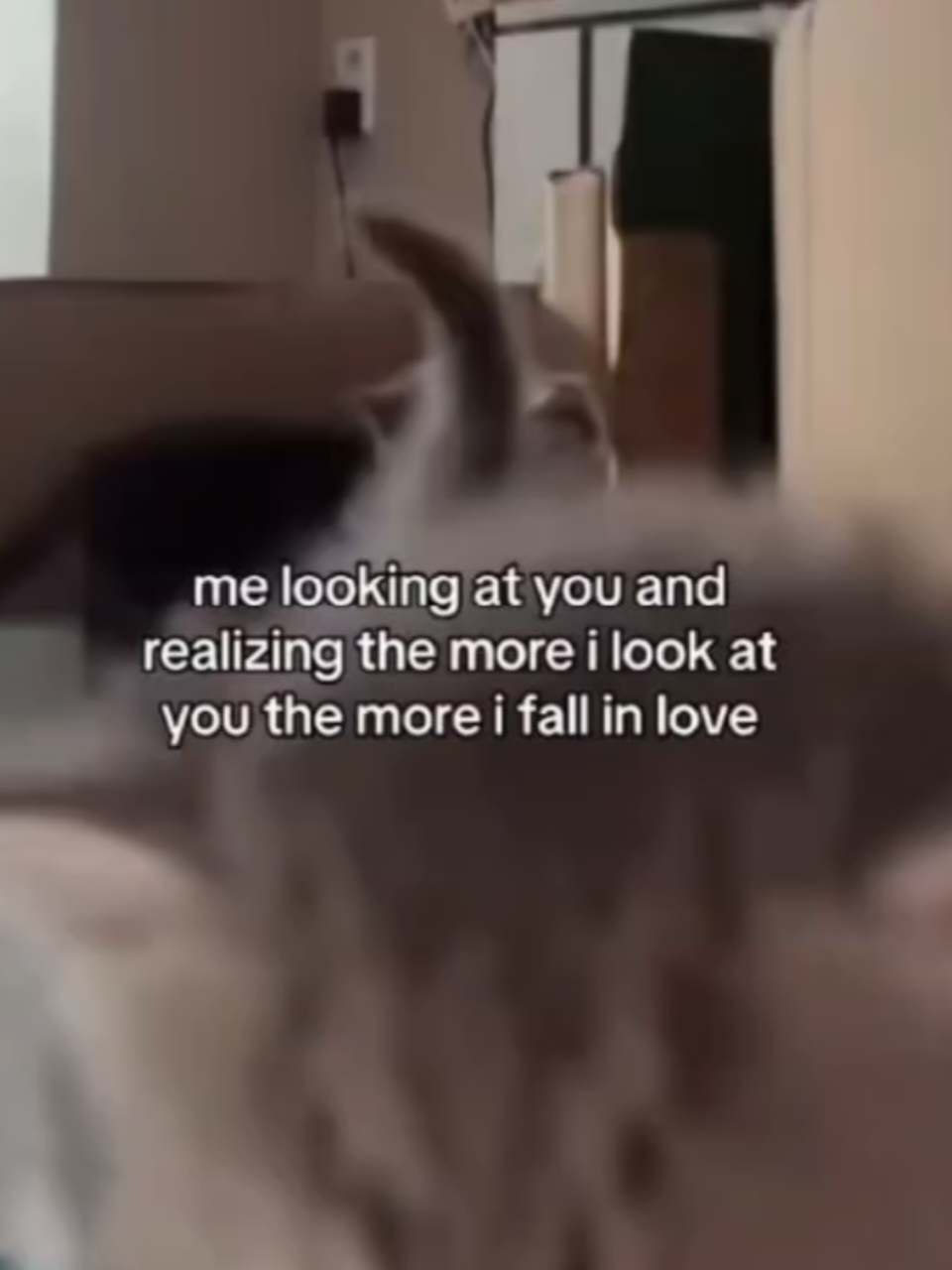 @🎧🧷Kaiden<3 #fypシ #sendthistoyourgf #Love #Relationship #iloveyousomuch 