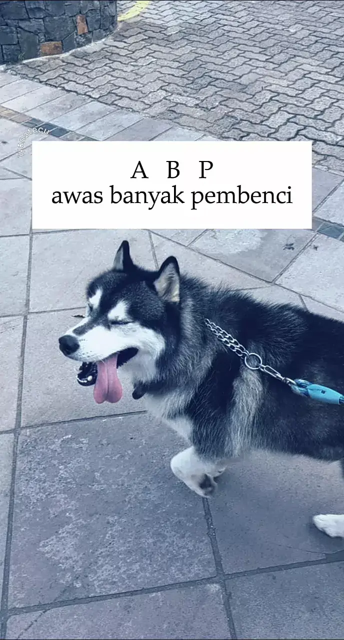 #fyp #iyanstecu #story 