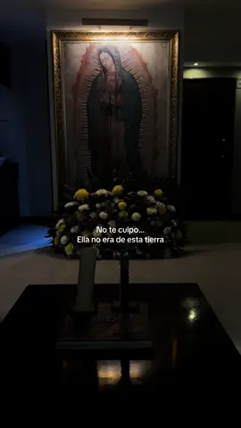 #aeternum #yadisponible #melancholy 