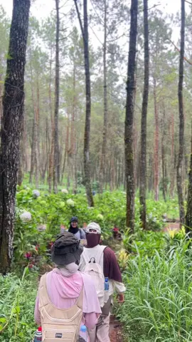 next trip kemana guys?  #fypp #placetogo #cobantalun #curug 