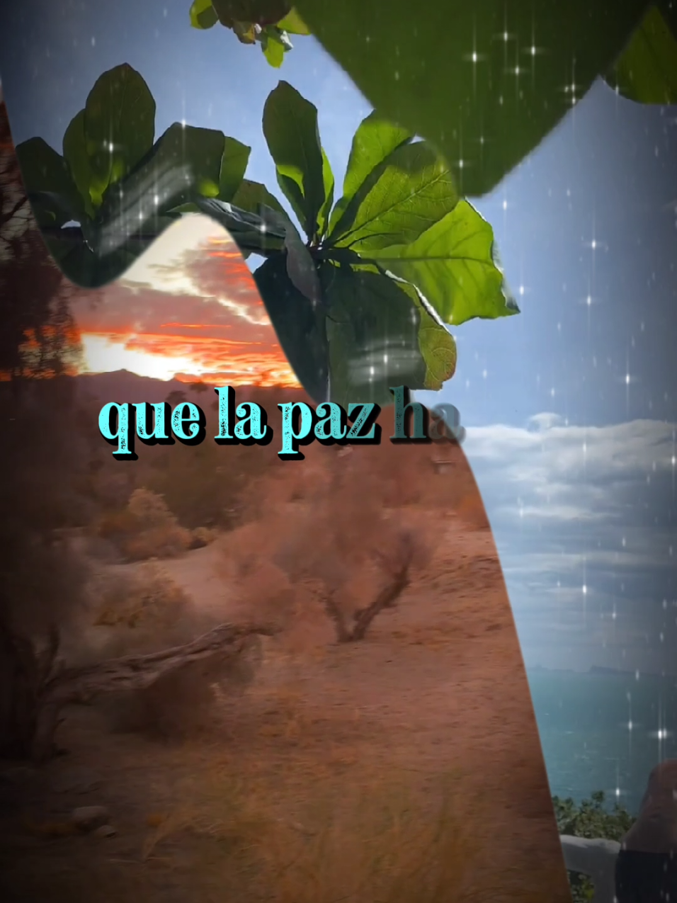 Buenos días, Padre amado. Te agradezco por la oportunidad de abrir mis ojos nuevamente, por despertar y comenzar de nuevo. En este día te pido, Señor, que bendigas no solo mi hogar, sino todos los hogares del mundo. Que la paz habite en cada hogar y que el amor en este día sea abundante en nuestras vidas. Oro también por aquellos que enfrentan dificultades; que tu luz los ilumine. #oraciondeldia  #oraciondelamañana  #buenosdias  #fe #amor 