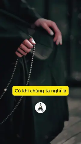 Có vẻ như là càng thương người đó thì !!!! #adidaphat #phatphapnhiemmau #thichtueman #chudaibi #chanhniem 