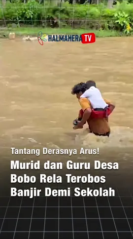 Beginilah perjuangan murid dan guru di Desa Bobo, Kecamatan Obi Selatan, Halmahera Selatan — setiap hari mereka harus menyeberangi sungai berarus deras hanya untuk bisa sampai ke sekolah. Video yang diunggah oleh akun TikTok @yosna_yunita_boo memperlihatkan betapa beratnya perjuangan itu. Dalam unggahannya, ia juga menulis harapan agar pemerintah segera membangun jembatan demi keselamatan dan masa depan anak-anak desa. “Semoga pemerintah bisa lihat postingan ini, supaya ada tindakan untuk membuat jembatan,” tulisnya penuh harap. #malukuutara #halmaheraselatan #obi #desabobo #pendidikan 