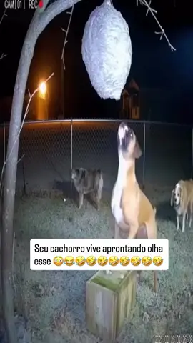 #catrinachallengetiktokshop 